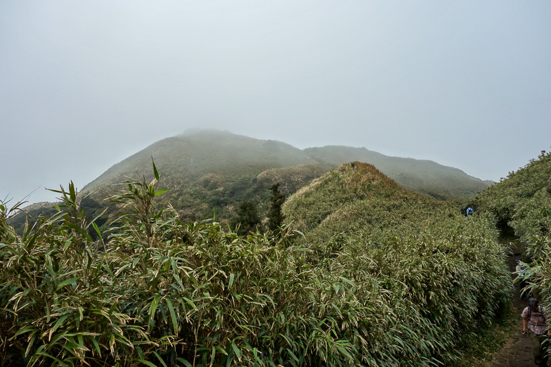 Taiwan-Taipei-Hiking-Yangmingshan - I have been going 2 hours and it doesnt look any closer than 5 photos ago from the car park. What kind of bullshit is this.