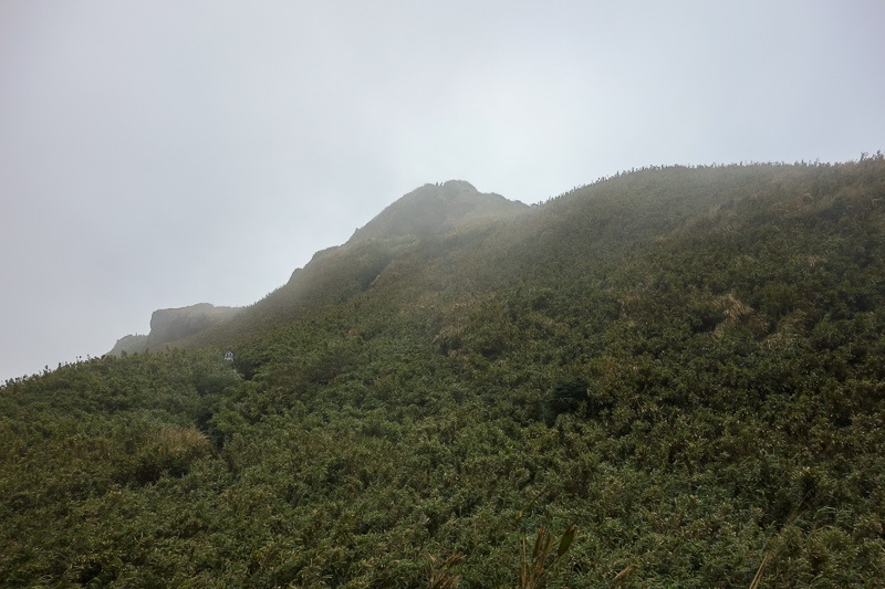 Taiwan-Taipei-Hiking-Yangmingshan - I think I am getting somewhere now.